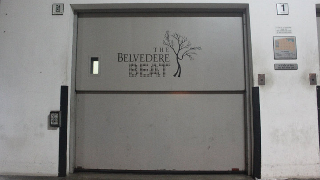 Belvedere Party